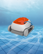 DOLPHIN ECHO