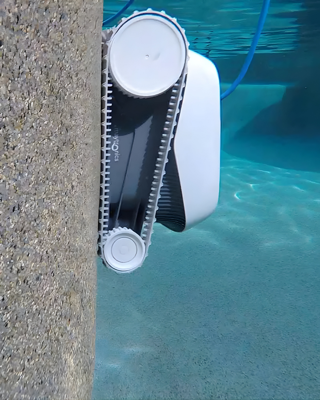 DOLPHIN ECHO