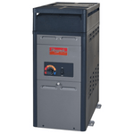 RayPak 105,000 BTU Natural Gas Pool Heater with Riser (106A)