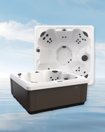 BULLFROG SPAS CALM6