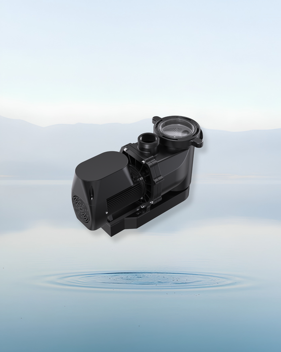 MOOV DS DUAL SPEED POOL PUMP 1.1HP