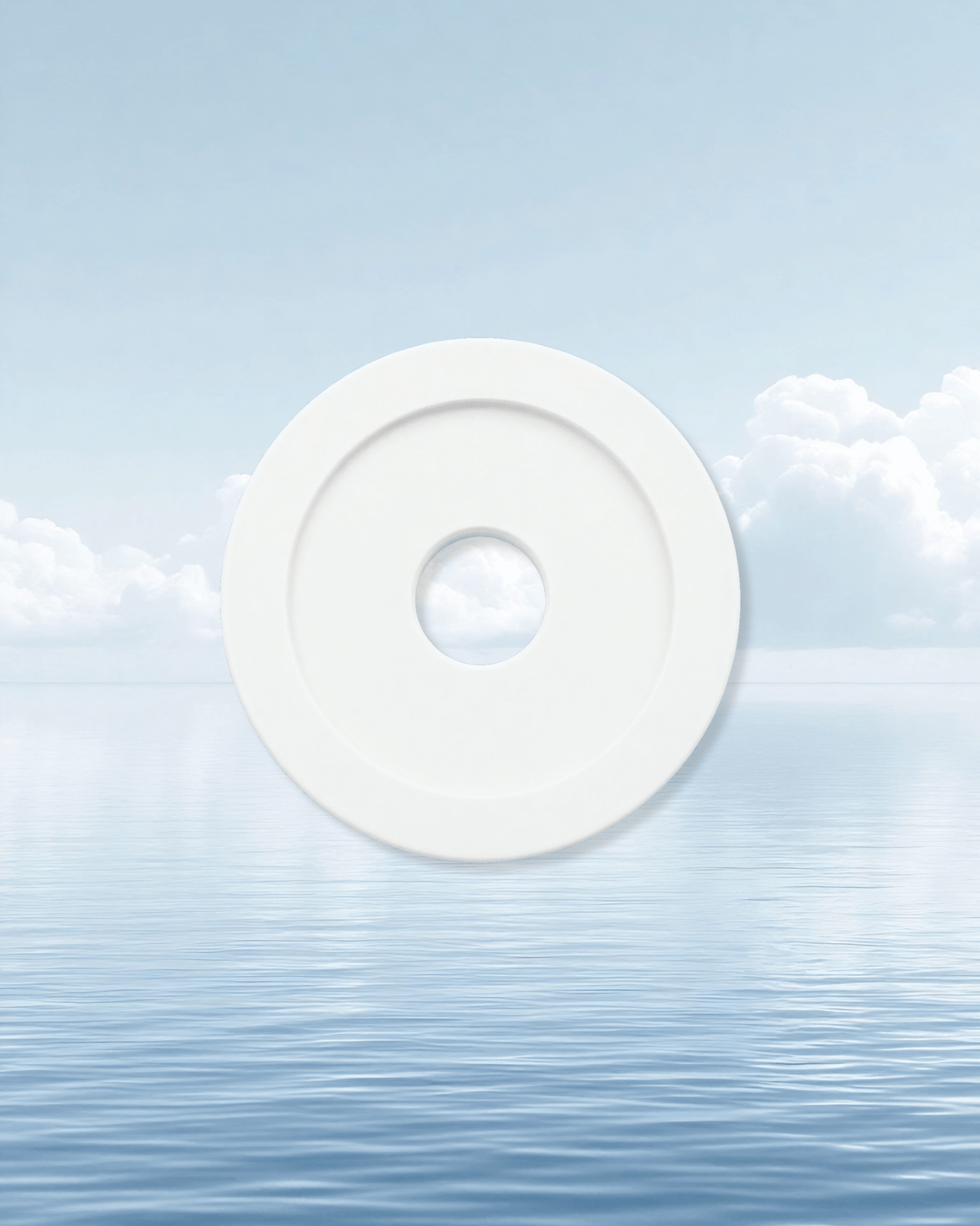 POLARIS PLASTIC WHEEL WASHER