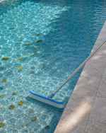 PENTAIR 18" CURVED WALL BRUSH