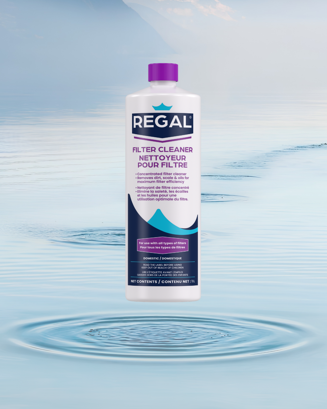 FILTER CLEANER – 1 litre