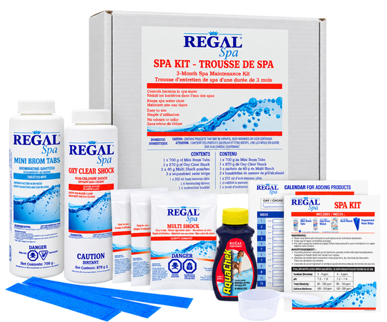 REGAL 3-MONTH SPA MAINTENANCE KIT