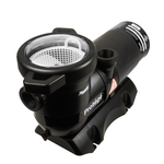 RayPak 1 HP Above Ground Pool Pump