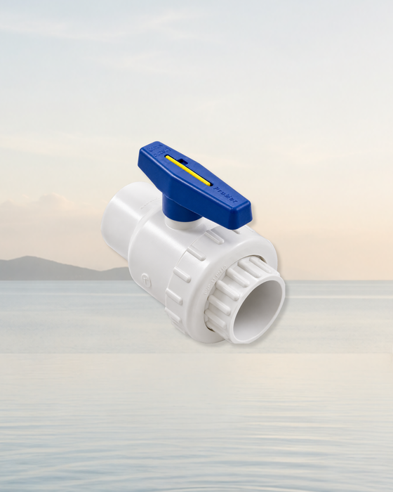 PRAHER 2" BALL VALVE