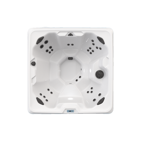 BULLFROG SPAS CALM6