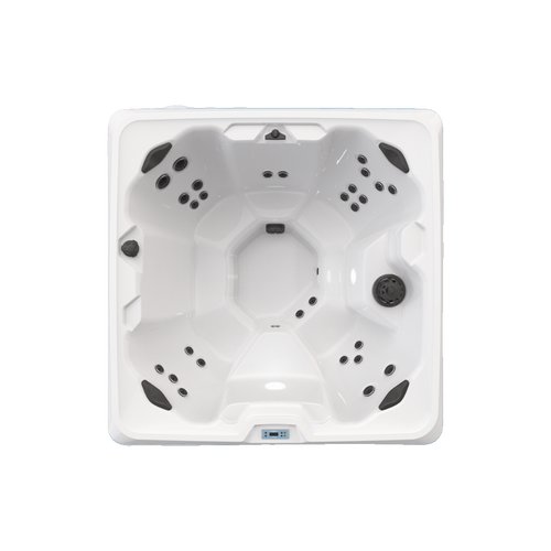 BULLFROG SPAS CALM6