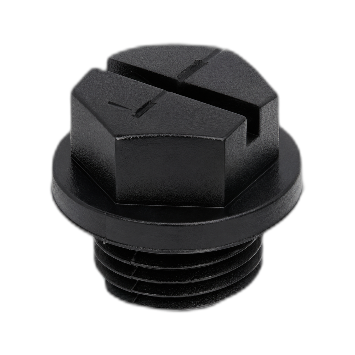 HAYWARD PIPE PLUG W/ GASKET (OPEN LINE)