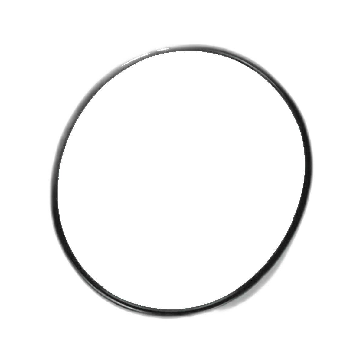 PENTAIR SUPERFLO LID O-RING REPLACEMENT