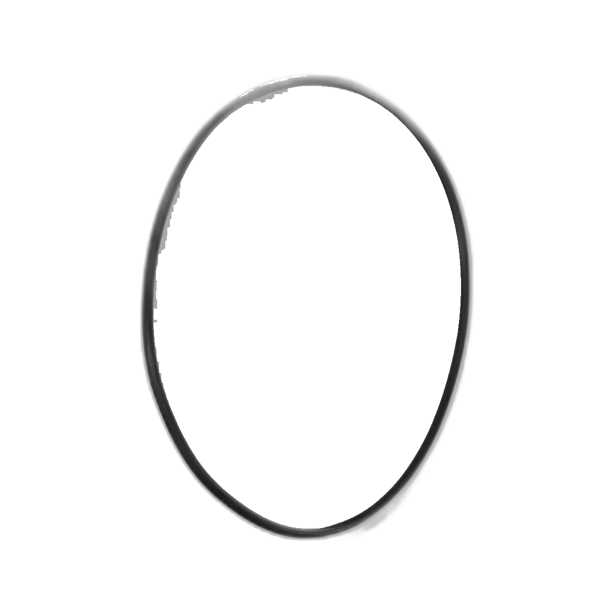 PENTAIR SUPERFLO O-RING SEAL BRACKET REPLACEMENT