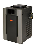 Raypak Digital 266,000 BTU Electronic Natural Gas Cupro Nickel Exchanger Heater with Riser